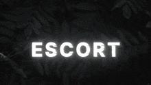 Escort Community Discord Server GIF - Escort Community Discord Server GIFs