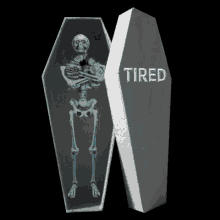 Skeleton Sleep GIF - Skeleton Sleep Coffin GIFs