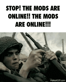 Discord Mod Discord Meme GIF