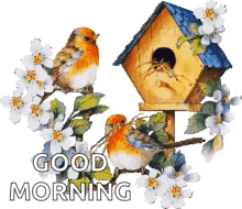 Good Morning Birds GIF