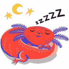 %C3%A1lvaro el axolotl salamander sleeping asleep goodnight