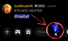 a screenshot of a video chat with golddudevr