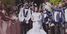 Wedding Lukman Odunaike GIF