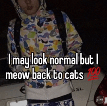 Meow Cats GIF - Meow Cats Normal GIFs