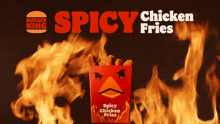 Burger King Spicy Chicken Fries GIF