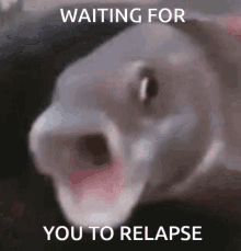 Waiting For You To Relapse Relapse GIF - Waiting For You To Relapse Relapse Pog GIFs