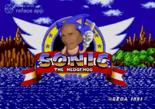 Sonic The Hedgehog Sonic GIF - Sonic The Hedgehog Sonic Game Over GIFs