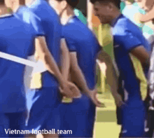 Vietnam Football GIF - Vietnam Football คองเฟือง GIFs