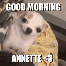 Good Morning Annette GIF - Good Morning Annette GIFs
