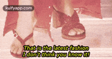 That Is The Latest Fashionidon'T Think You Know It!.Gif GIF - That Is The Latest Fashionidon'T Think You Know It! Clothing Apparel GIFs
