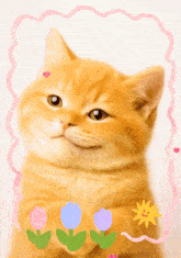 a picture of a cat with flowers on it 's paws