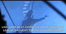 a shadow of a person is casting on a blue background with the words live look in at chippewa valley walleye league