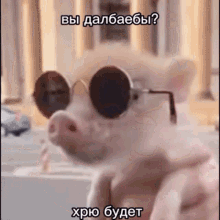 Pig Wink GIF - Pig Wink GIFs
