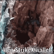 Strike X Wallet GIF - Strike X Wallet Wen GIFs