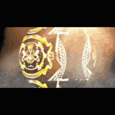 a picture of a watch with a crown and a laurel wreath on it