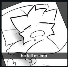 a black and white drawing of a cat with the words he fell asleep on the bottom