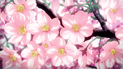 Sakura GIF on GIFER - by Landantrius