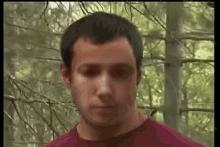 a man in a red shirt is standing in the middle of a forest .