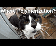 Yugioh Cat Sniff GIF - Yugioh Cat Sniff Where Polymerization GIFs