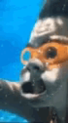 Swimming Silly Face GIF - Swimming Silly Face Swim GIFs