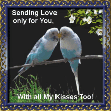 Birds Sending Love GIF - Birds Sending Love Kisses GIFs