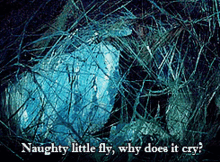 Naughty Little GIF - Naughty Little Fly GIFs