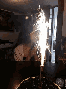 Birthday 20 GIF - Birthday 20 Fireworks GIFs