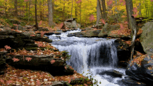 Waterfall Nature GIF