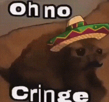 Oh No Cringe Mexican Cat GIF - Oh No Cringe Mexican Cat Cringe GIFs