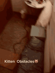 cats obstacles