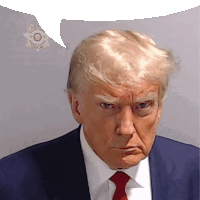 Trump Donald Trump Sticker - Trump Donald Trump Mugshot Stickers