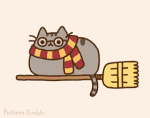 Harryporter Pusheen GIF - Harryporter Pusheen Cat GIFs