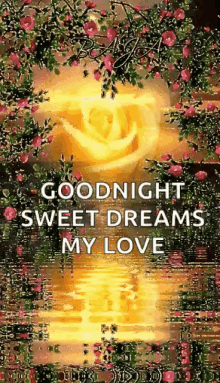 Good Night Sweet Dreams GIF - Good Night Sweet Dreams My Love GIFs