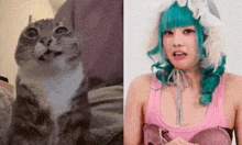 a cat and a woman with green hair are sitting next to each other on a bed .