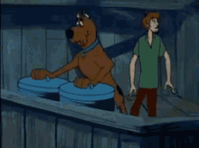 Scoobydoo Shaggy GIF - Scoobydoo Scooby Shaggy GIFs