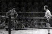 Boxing Jerry Lewis GIF