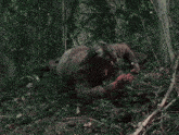 a blurred image of a person crawling in the dirt