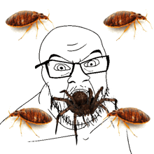 a black and white drawing of a man with glasses and a beard surrounded by bedbugs