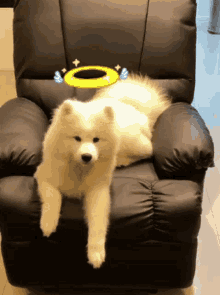 Dog Chill GIF - Dog Chill Relax GIFs
