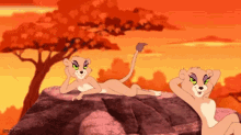Tom And Jerry Tales Lionesses GIF - Tom And Jerry Tales Lionesses Cartoon GIFs