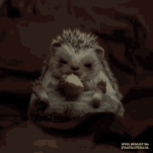 Staatsloterij Freddie GIF - Staatsloterij Freddie Hedgehog GIFs