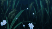 a drawing of flowers and leaves with a blue background