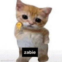 a kitten is holding a lollipop in its mouth and has a picture of a kitten with a lollipop in its mouth .