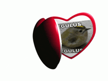a heart shaped item with a picture of a bird and the words regulus on it