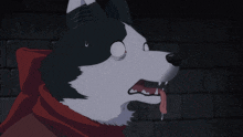 a black and white dog with its tongue out and a red scarf around its neck