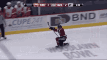 Guelph Storm GIF