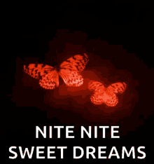nite goodnight sparkles nite nite sweet dreams butterfly