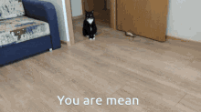 Mean You Are Mean GIF - Mean You Are Mean Maksas The Cat GIFs
