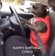 Dog Driving GIF