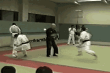 Aikido Master GIF - Aikido Master GIFs